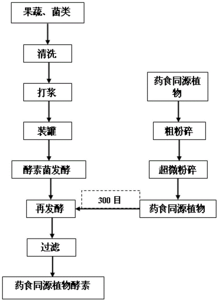 Enzyme containing medicinal and edible homologous plants and preparation method of enzyme