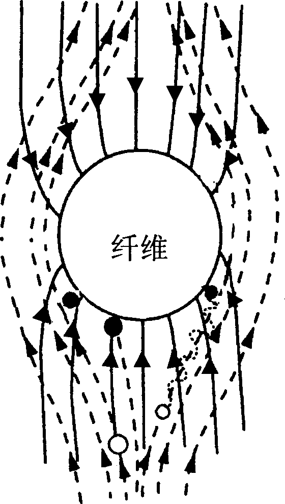 Cooperative drinking water purifying method and equipment combining active carbon fiber and electrodynamic process