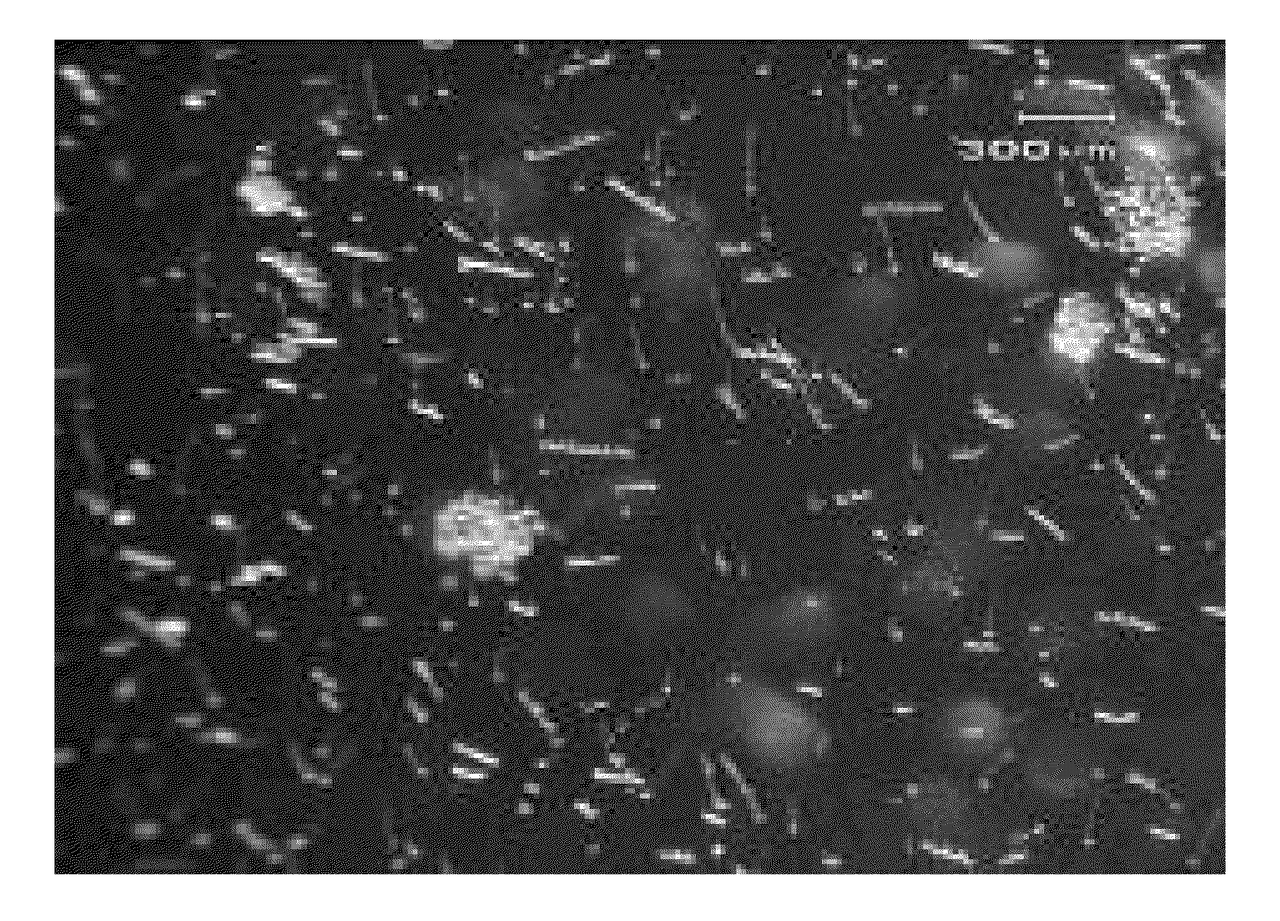 Microcarriers for Stem Cell Culture