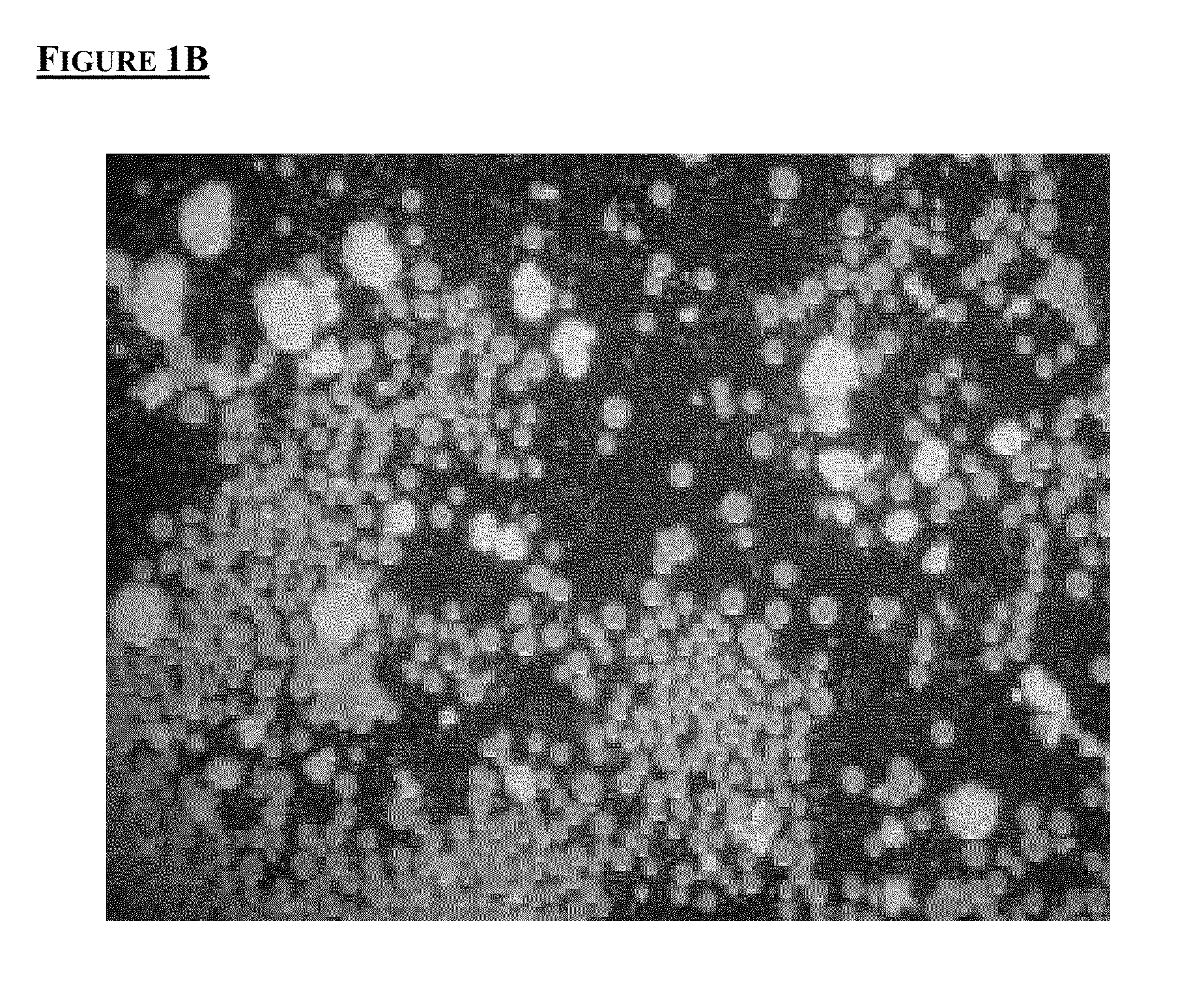 Microcarriers for Stem Cell Culture