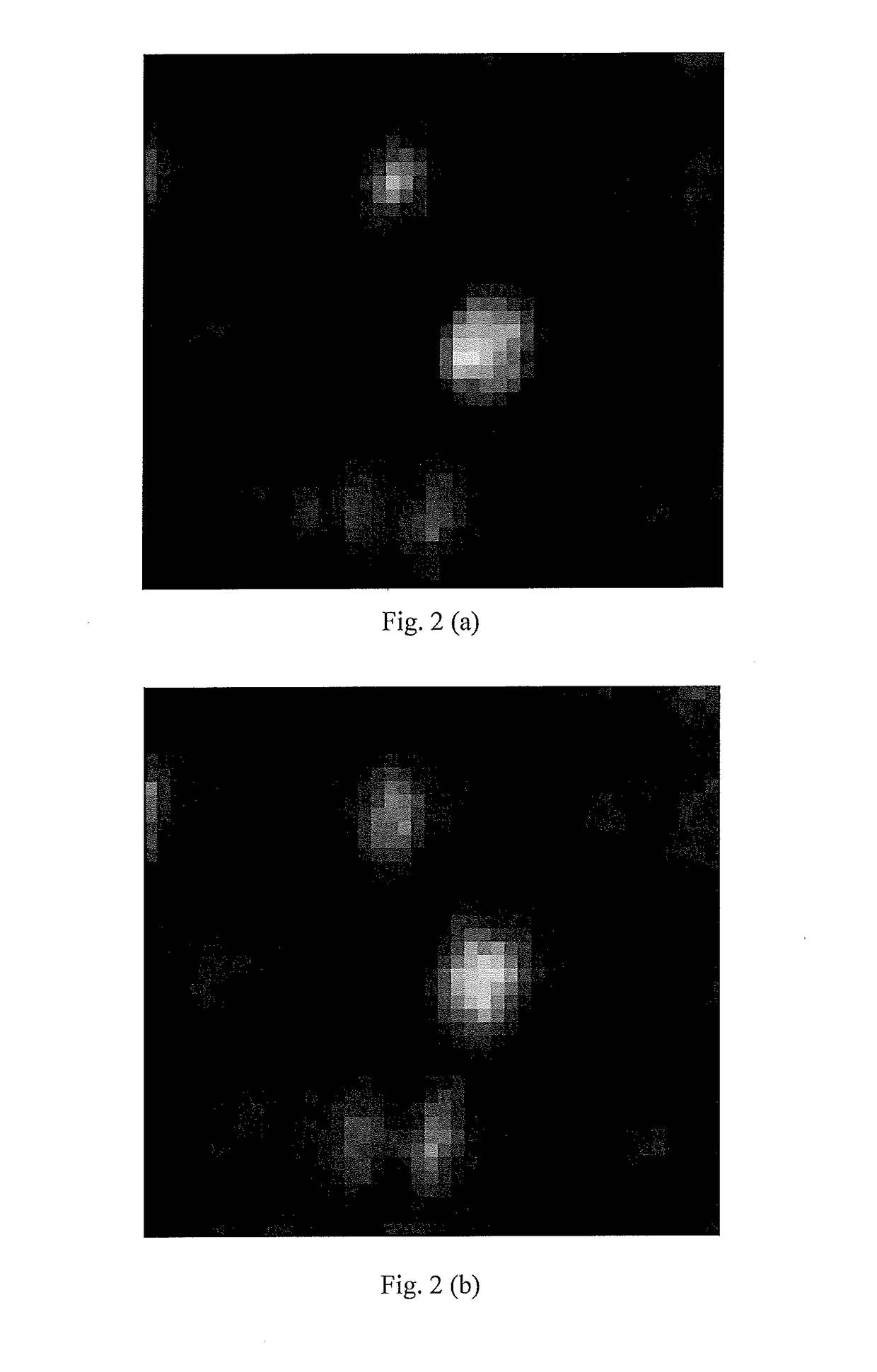 Dynamic calibration method for echelle spectrometer in laser-induced breakdown spectroscopy