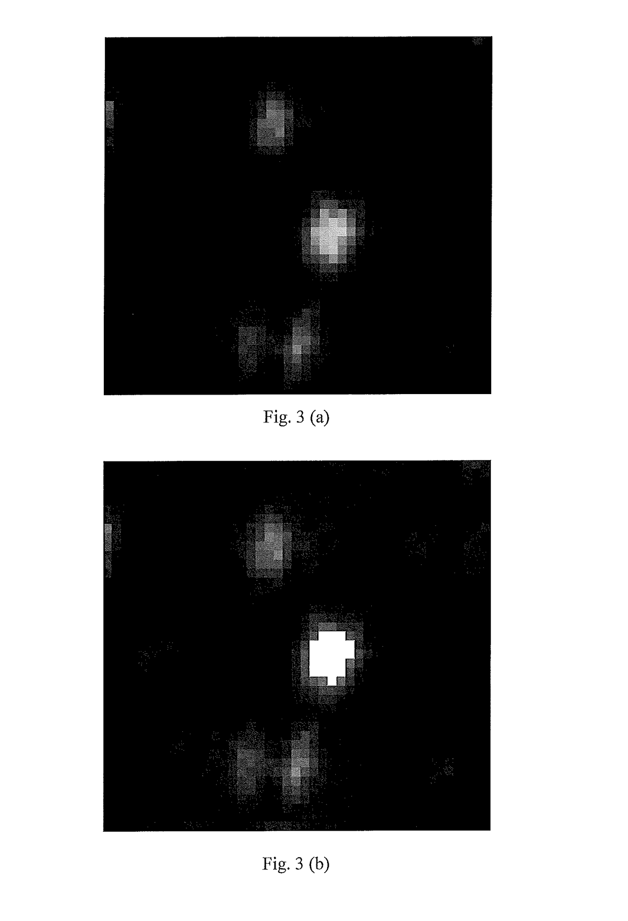 Dynamic calibration method for echelle spectrometer in laser-induced breakdown spectroscopy