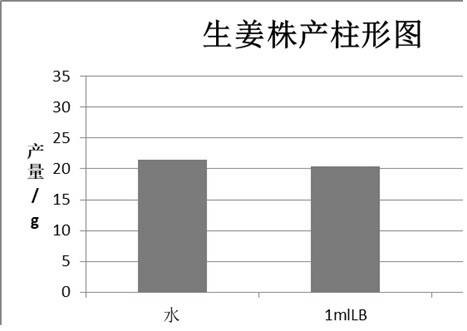 Paenibacillus with yield increasing effect and preparation method and application thereof