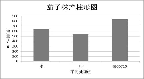 Paenibacillus with yield increasing effect and preparation method and application thereof