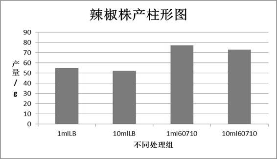 Paenibacillus with yield increasing effect and preparation method and application thereof