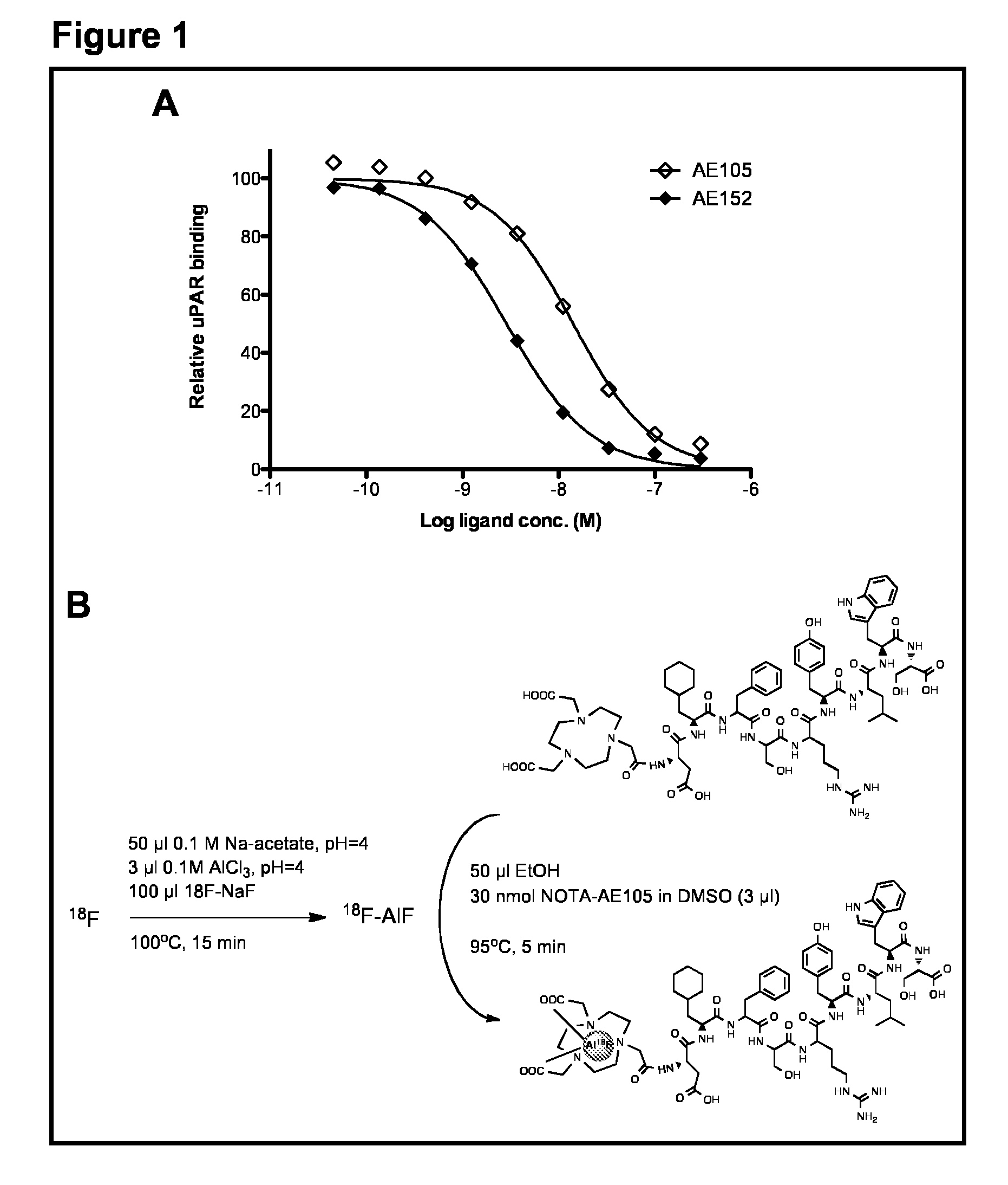 Positron emitting radionuclide labeled peptides for human upar pet imaging