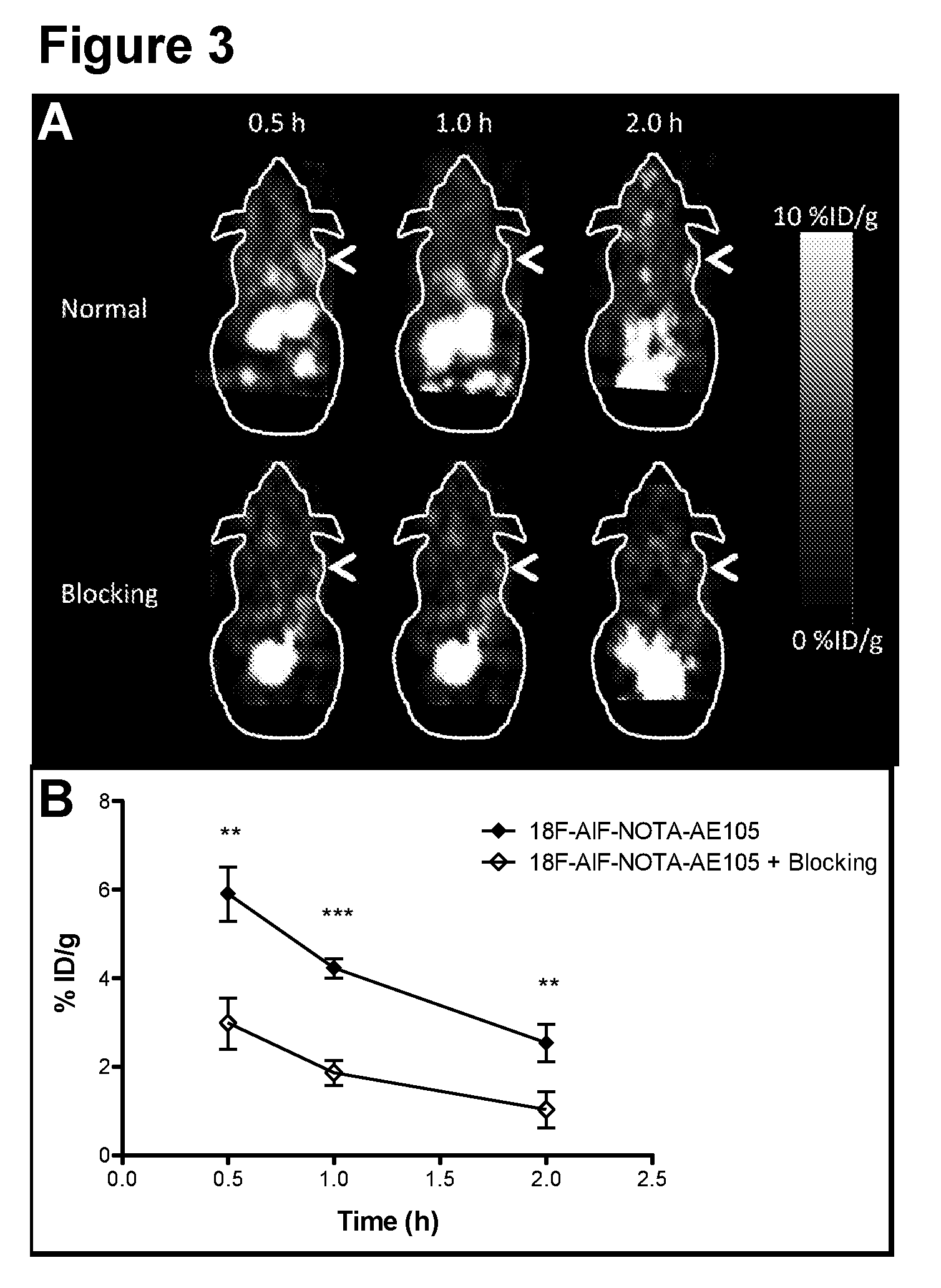 Positron emitting radionuclide labeled peptides for human upar pet imaging