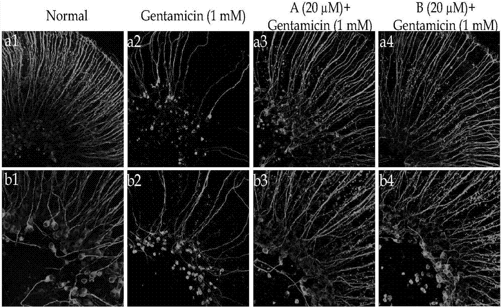 Novel application of aromatic cyclopropyl amine compound