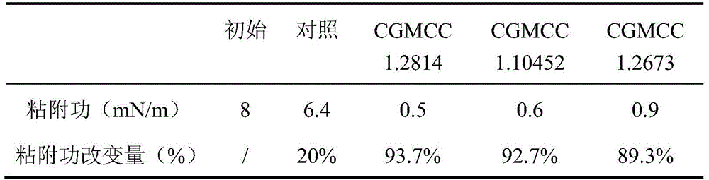 A kind of strong emulsifying microbial anti-wax agent and its application