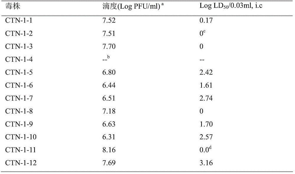 Rabies virus attenuated strains as well as breeding method and application thereof