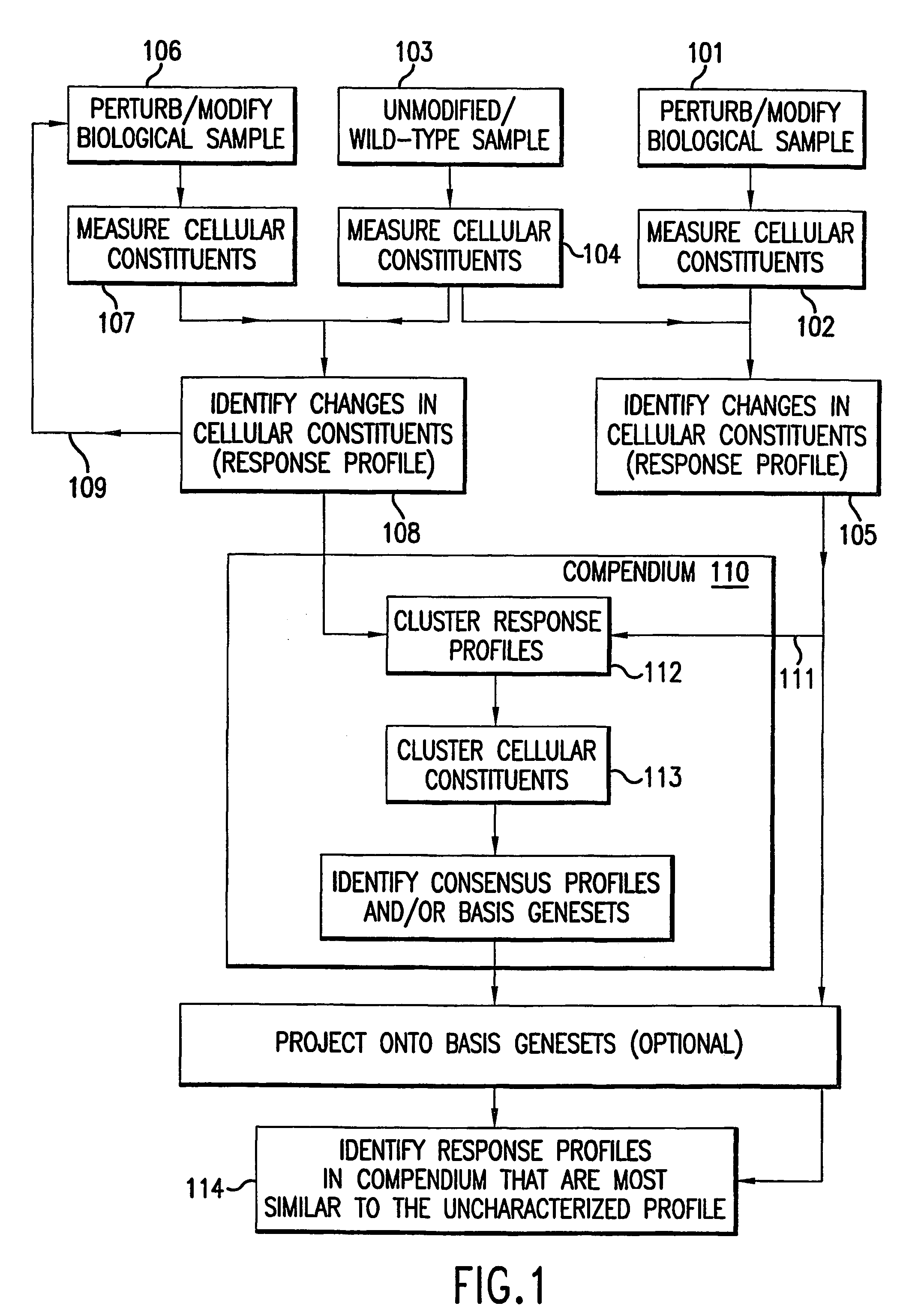 Methods and systems for determining the biological function of cell constituents using response profiles