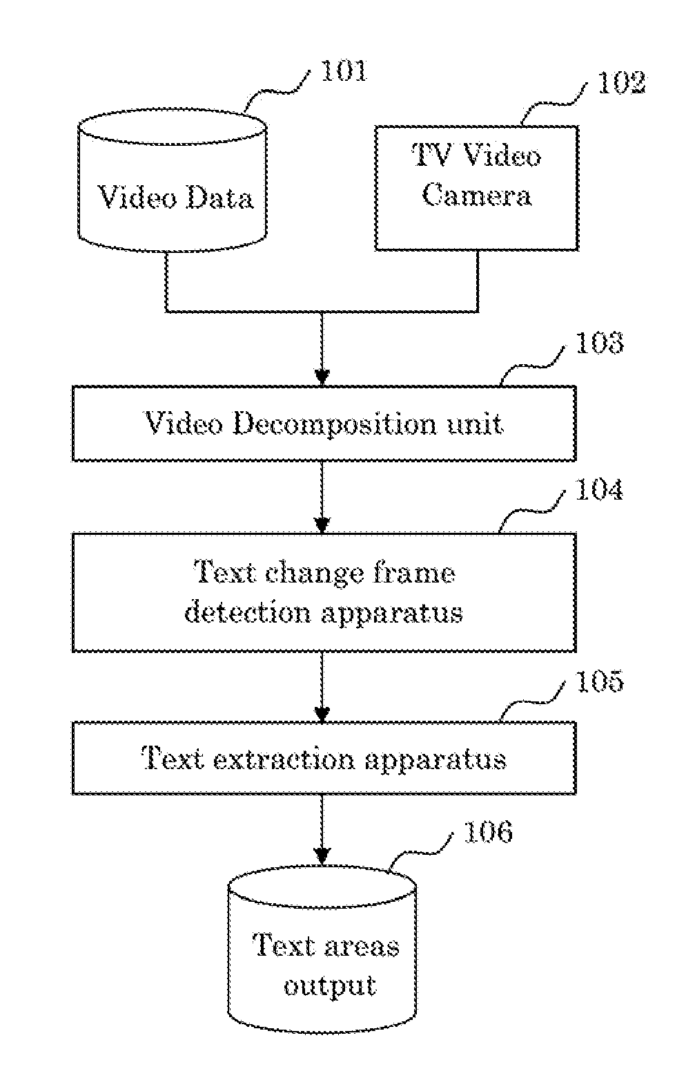 Video text processing apparatus