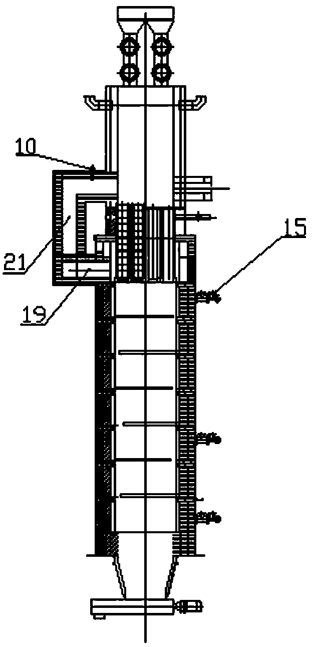 Apparatus and method for producing direct reduction iron from biological straws