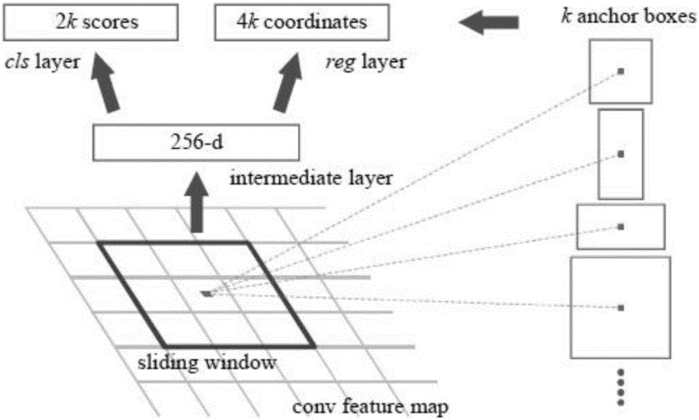 Action detection model based on convolutional neural network