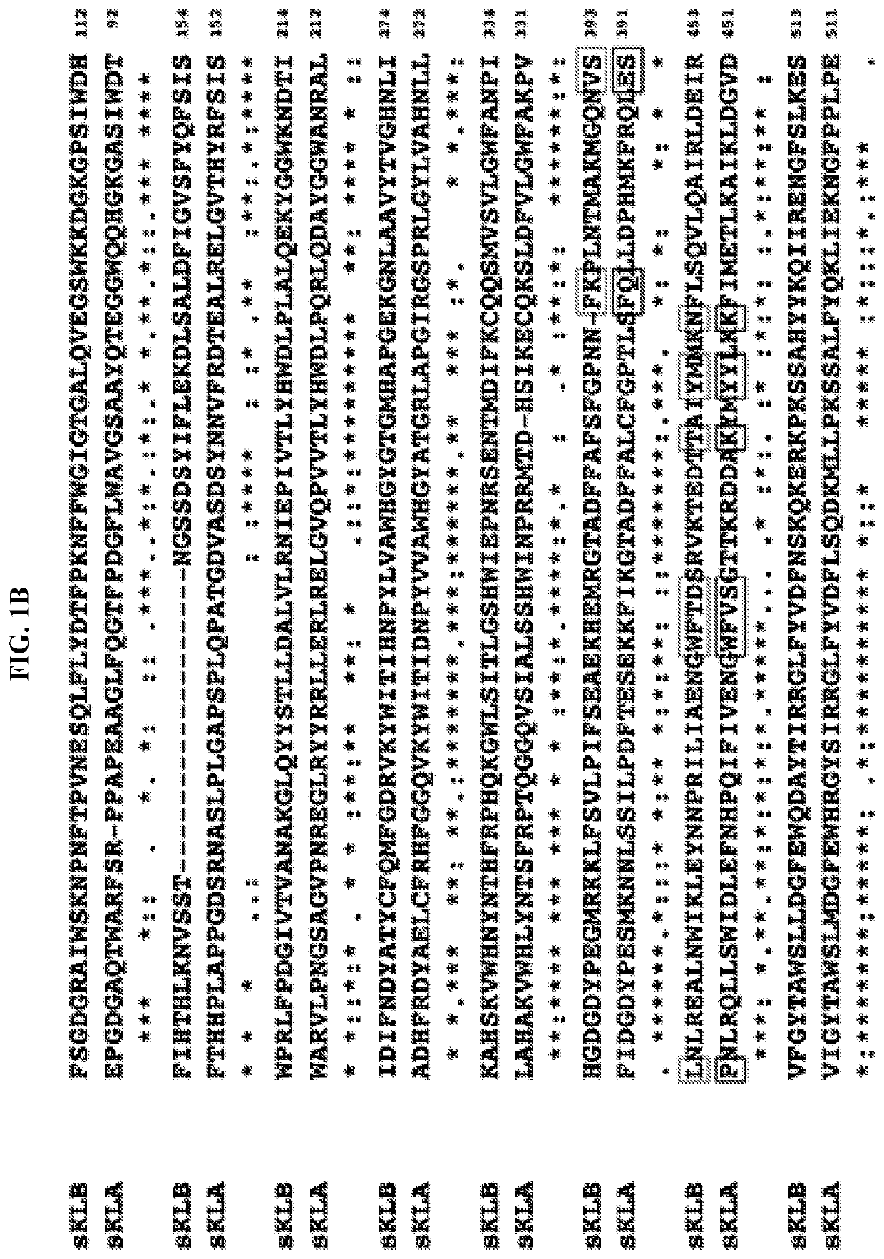 Compositions and Methods for Treating or Preventing Endocrine FGF23-Linked Diseases