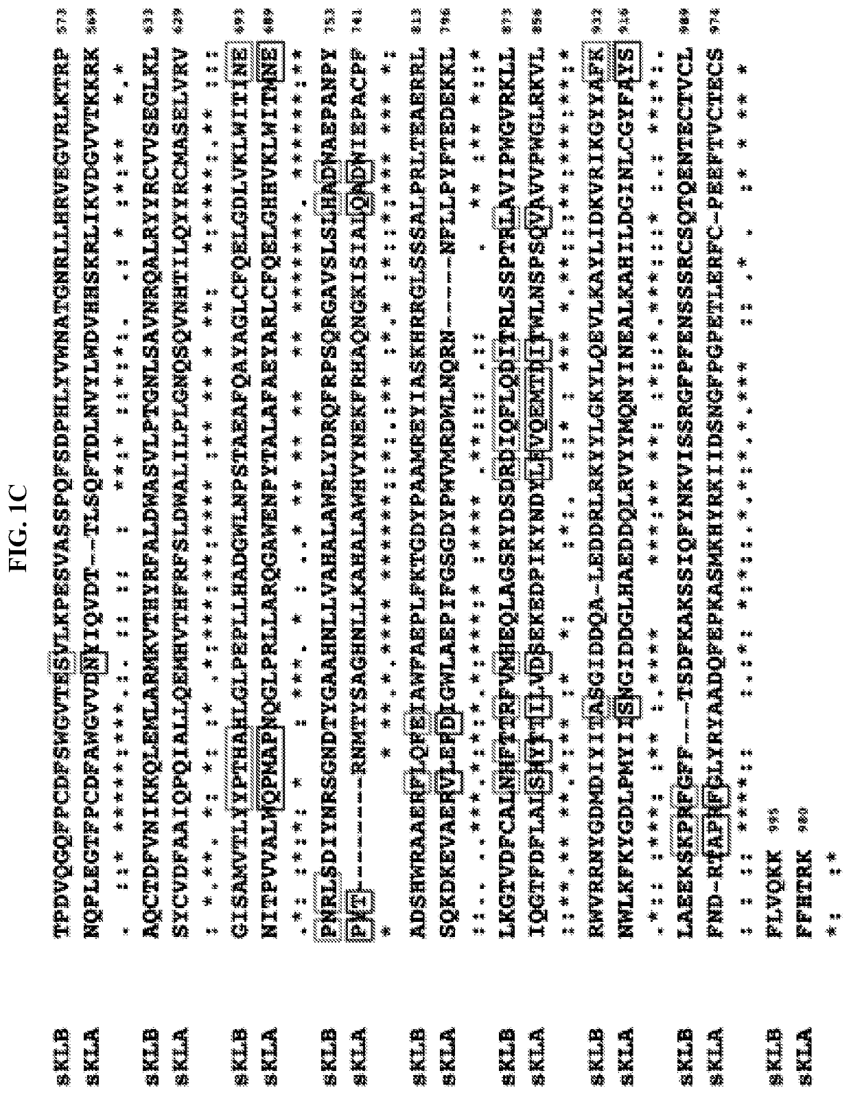 Compositions and Methods for Treating or Preventing Endocrine FGF23-Linked Diseases