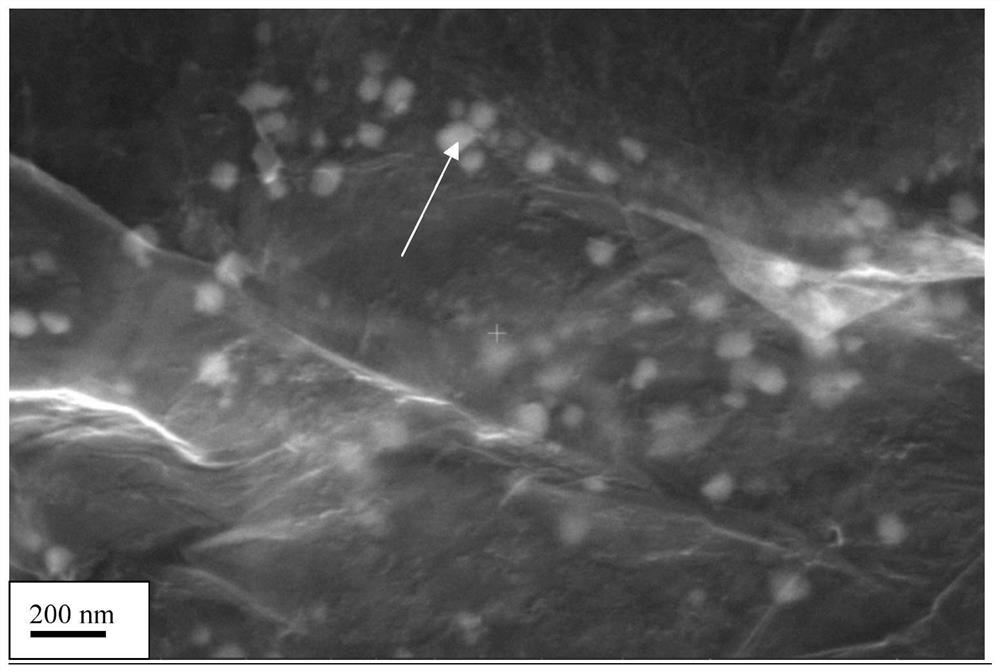 A thermal shock preparation method and application of multi-principal alloy nanoparticles