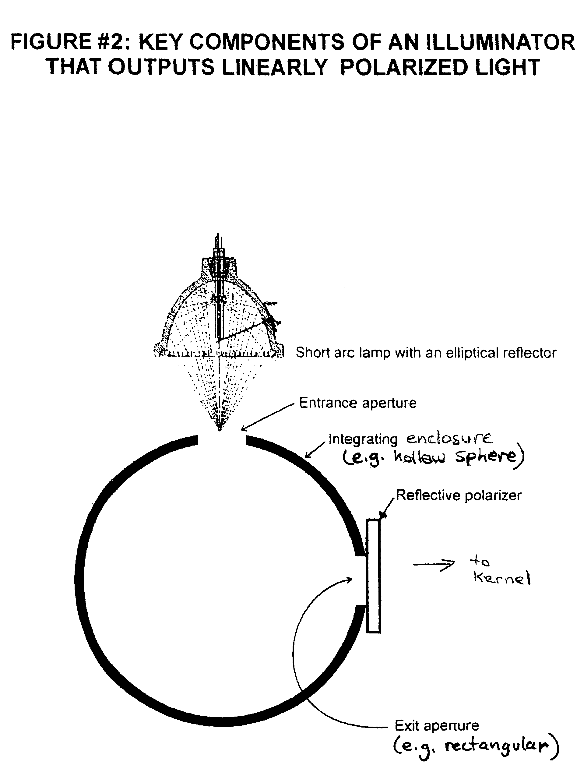 Illuminator that generates linearly polarized light for microdisplay based light engine