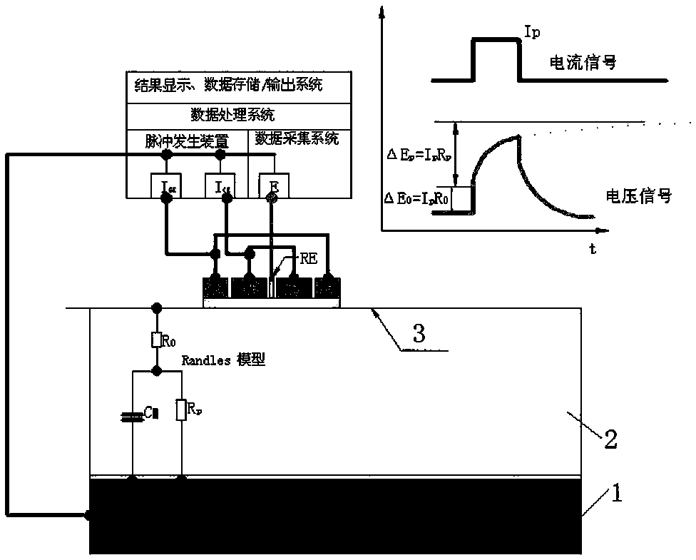 A detection system and detection method for the corrosion degree of steel bars