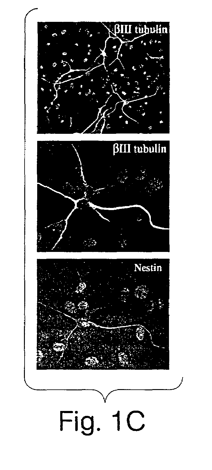 Method for preparing stem cell preparations