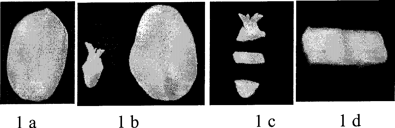 Agrobacterium-mediated genetic transformation method with peanut seed domant bud hypocotyl as explant