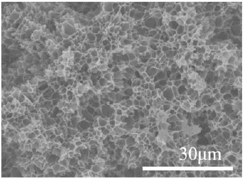 Polylactic acid nanometer bubble hole foaming material and preparation method thereof