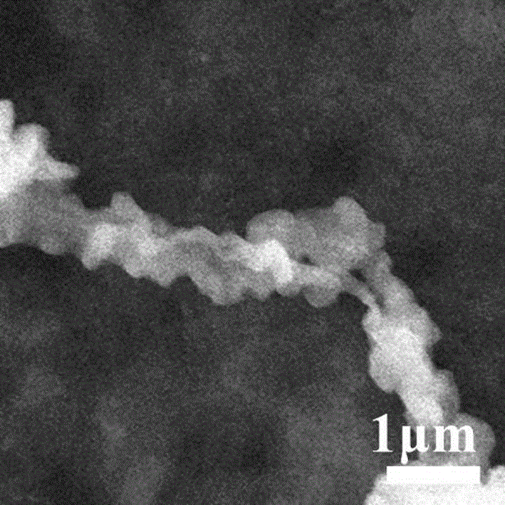 Bead-chain-like graphitized carbon nitride nano material and preparation method thereof