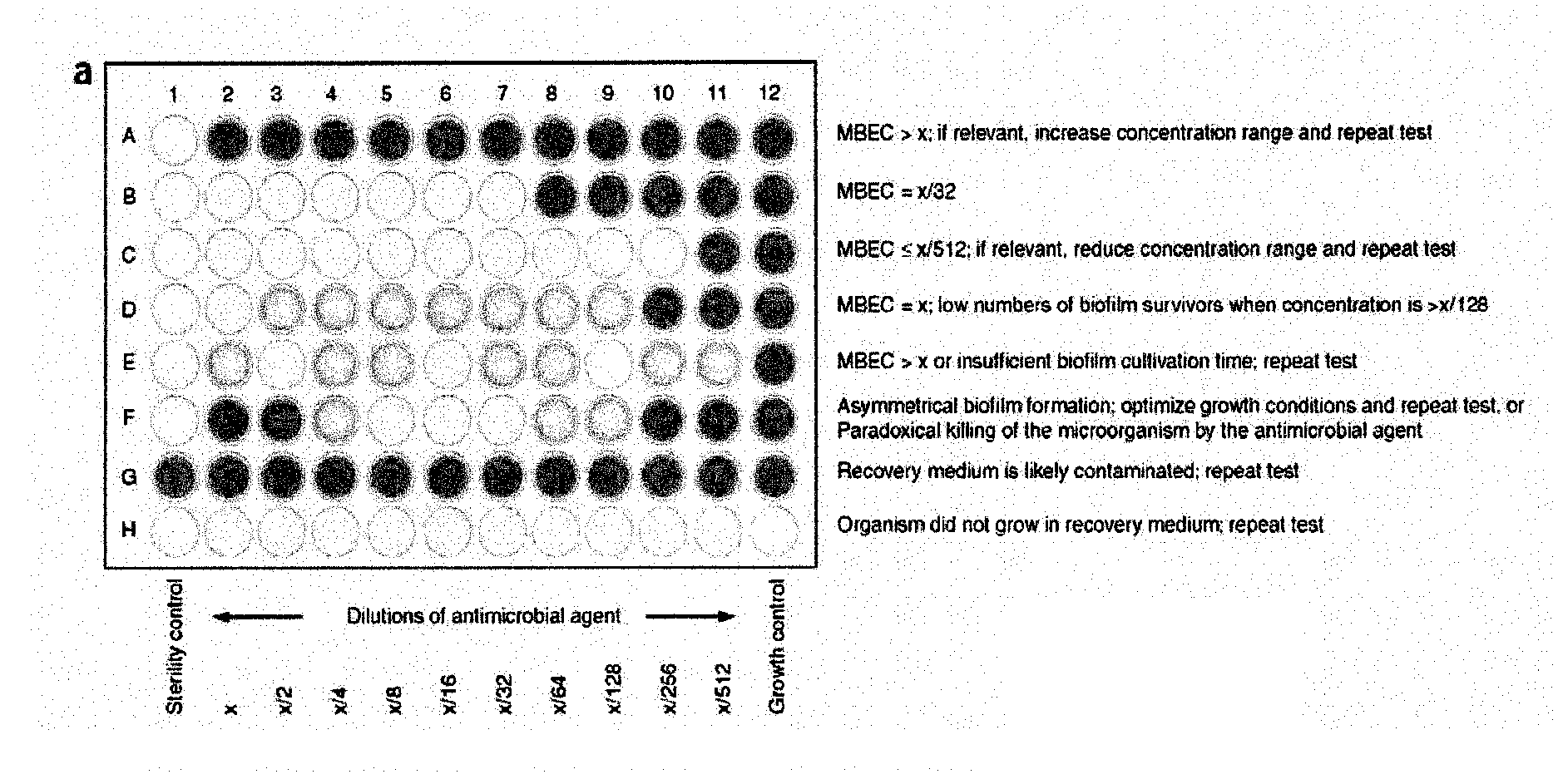 Testing of Biofilm for Anti-microbial Agent Susceptibility