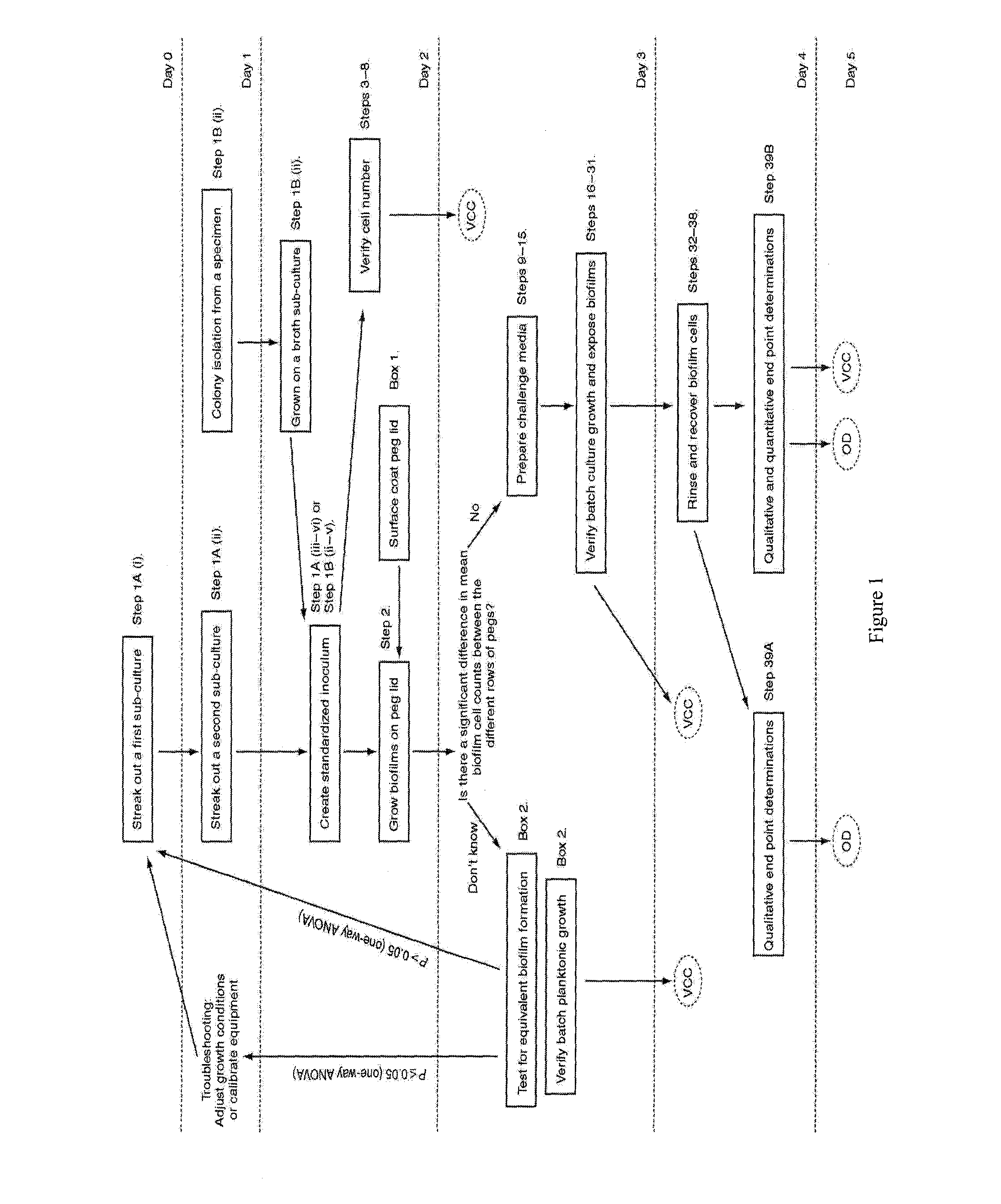 Testing of Biofilm for Anti-microbial Agent Susceptibility