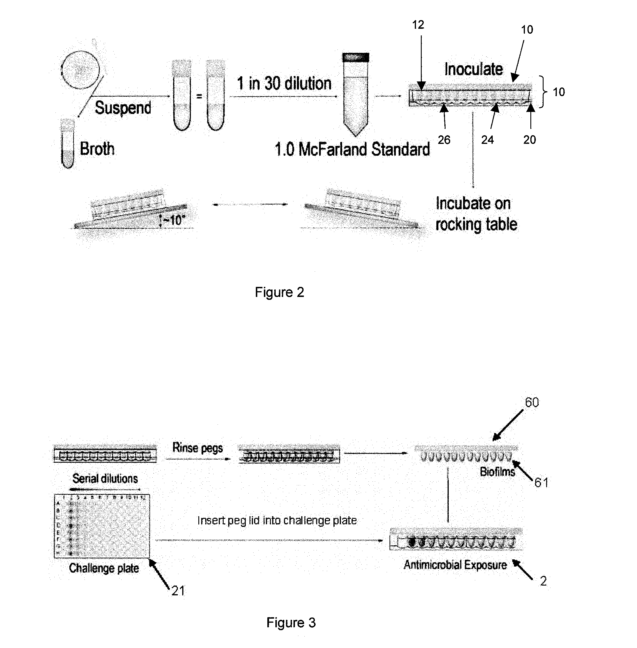 Testing of Biofilm for Anti-microbial Agent Susceptibility