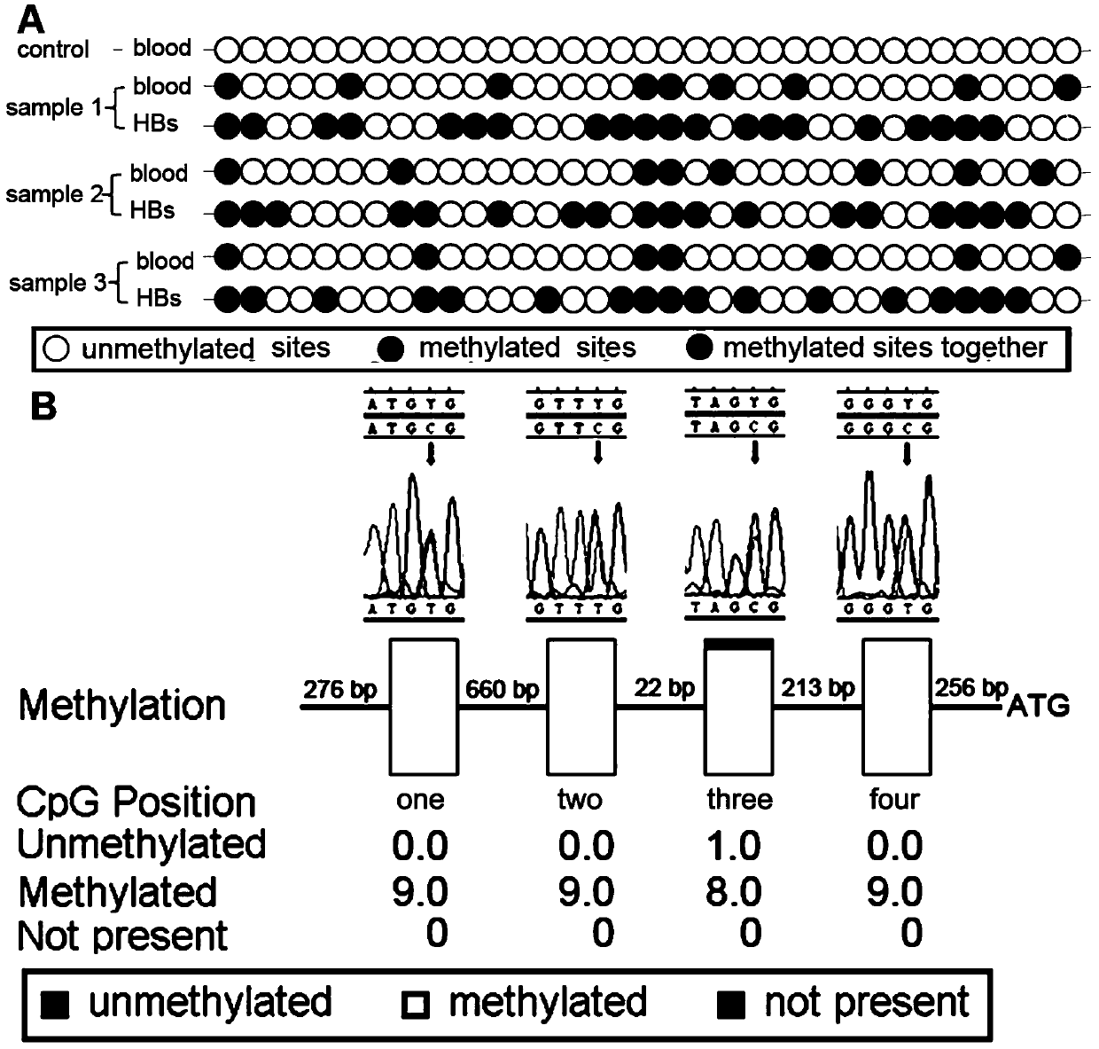 Medicine used for treating genetic imprinting subtype hemangioblastoma