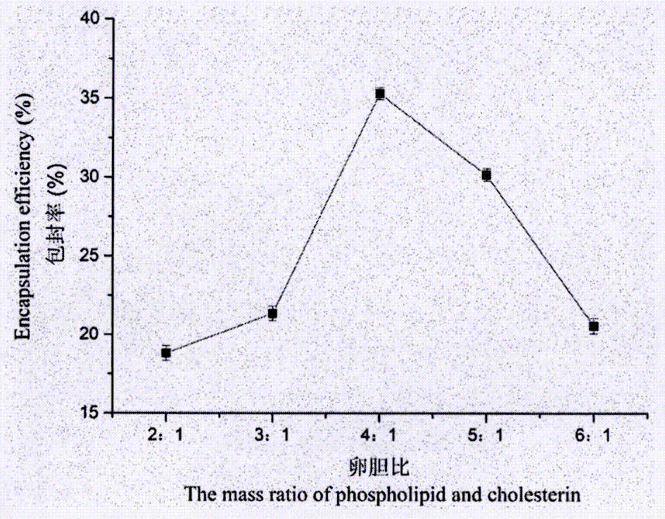 Preparation method of long-circulation lipidosome of olive polyphenol extract rich in hydroxytyrosol and verbascoside