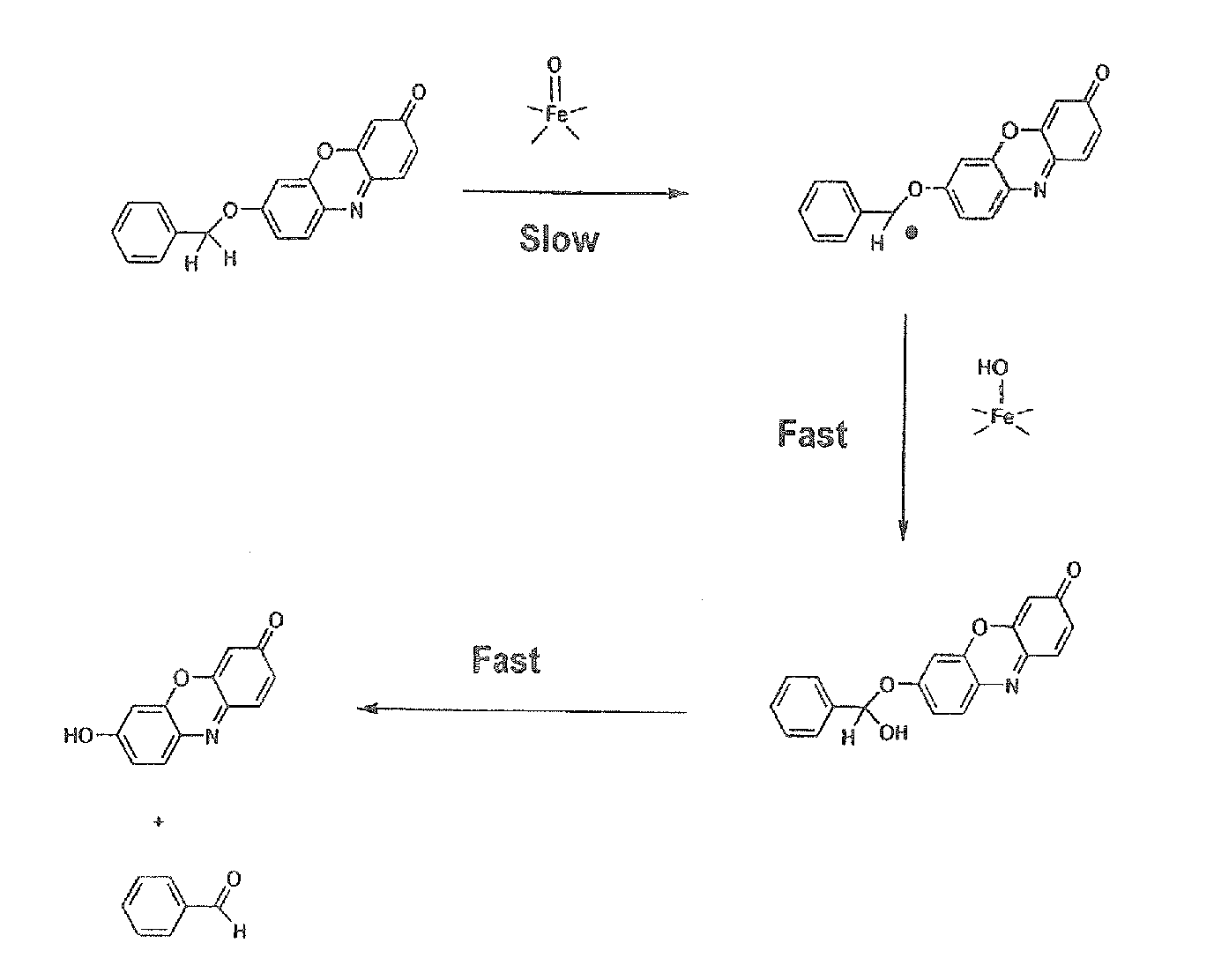 Optical molecular sensors for cytochrome P450 activity