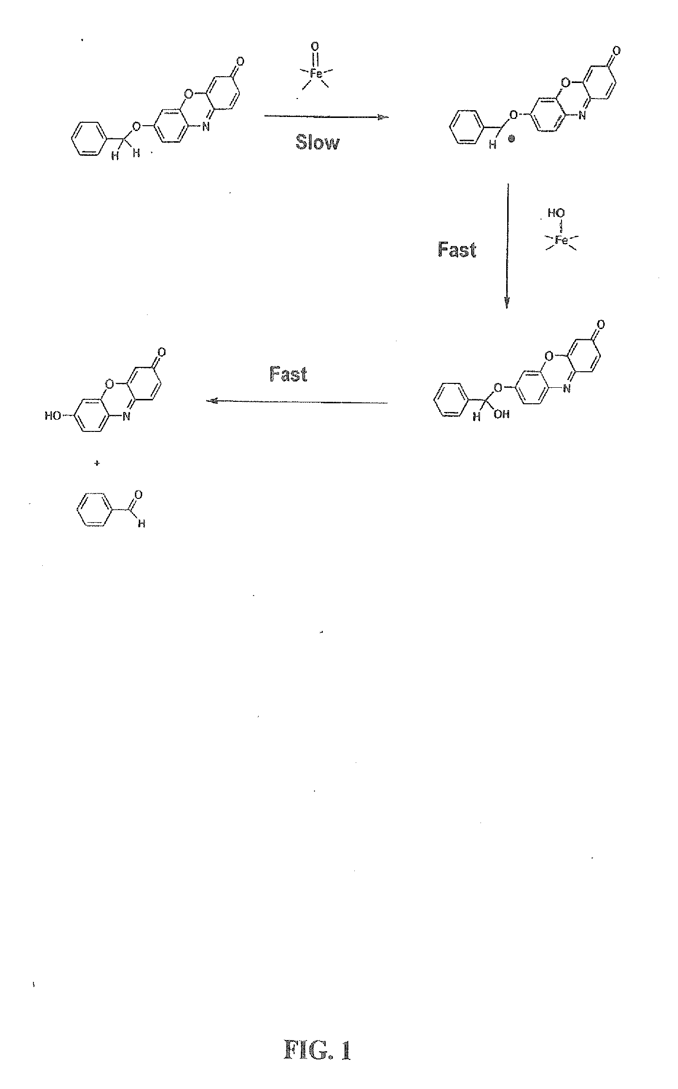 Optical molecular sensors for cytochrome P450 activity