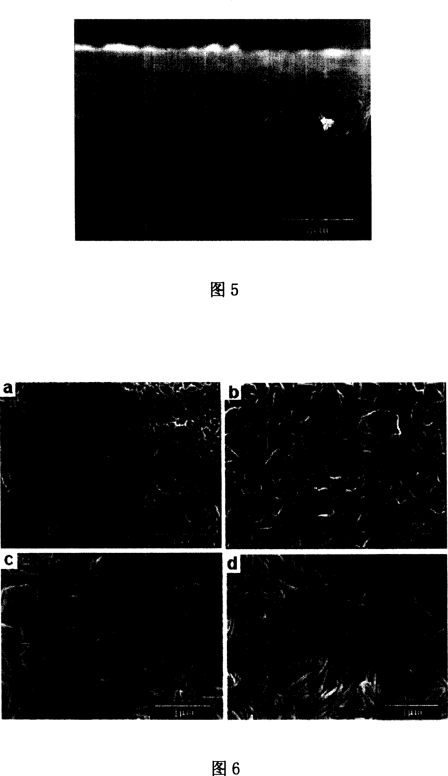 Vertically oriented hydrotalcite film in nano and micron composite structure and its preparing process