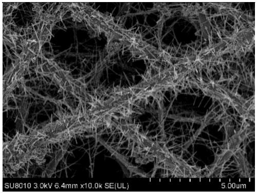 A hierarchically structured MNO for the oxidation of acetone  <sub>x</sub> /tio  <sub>2</sub> Nanofiber catalyst and preparation method thereof