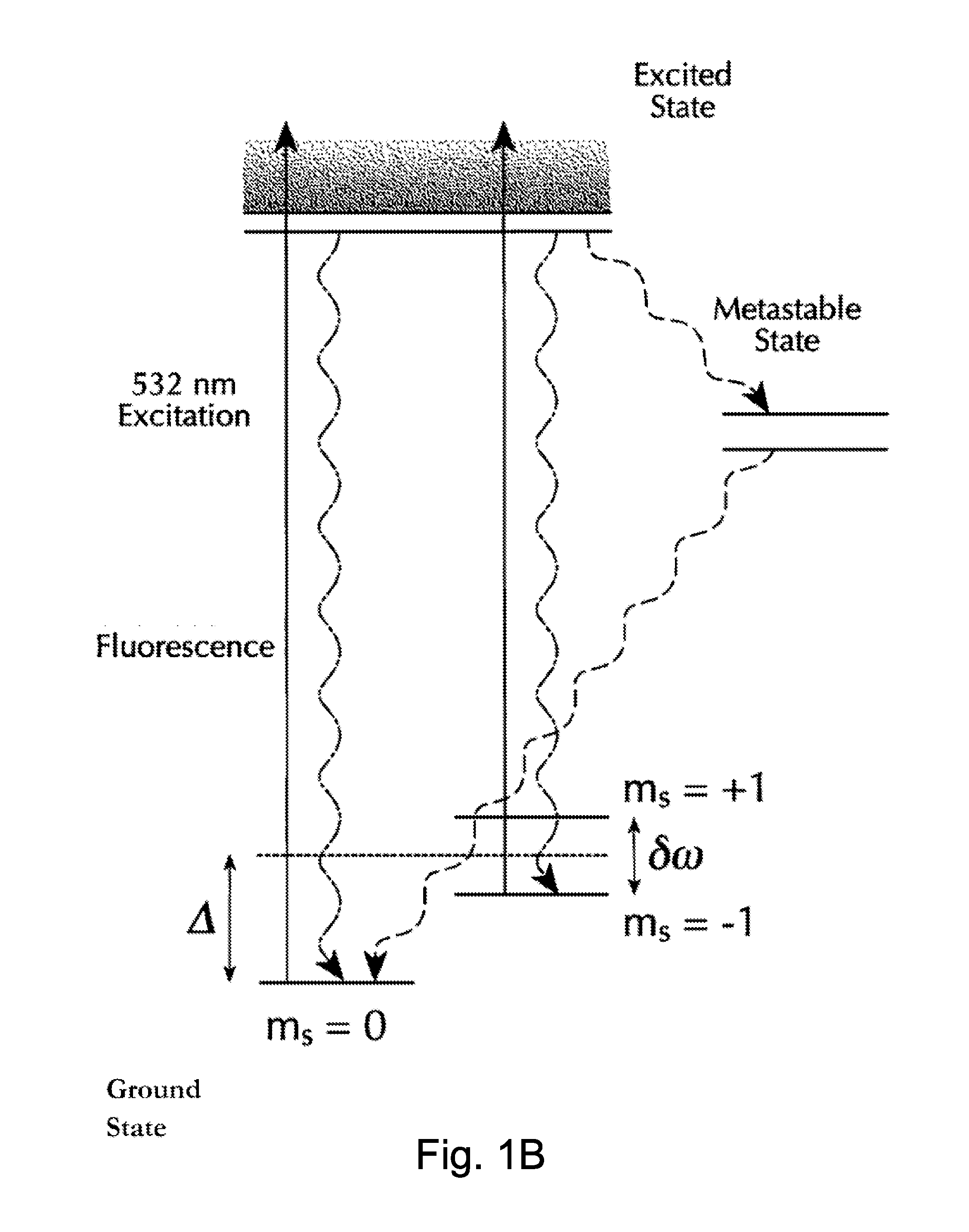 Nanoscale scanning sensors