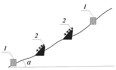 Terrace bank construction method for changing slope farmland into level terrace in reservoir area of Three Gorges