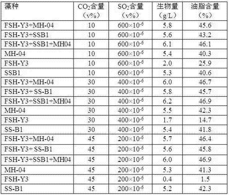 Method for producing lipid through mixed culture of microalgae