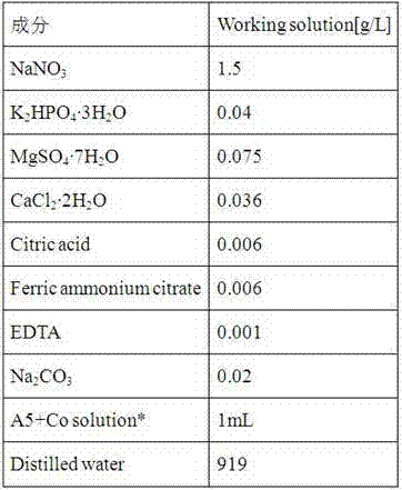 Method for producing lipid through mixed culture of microalgae