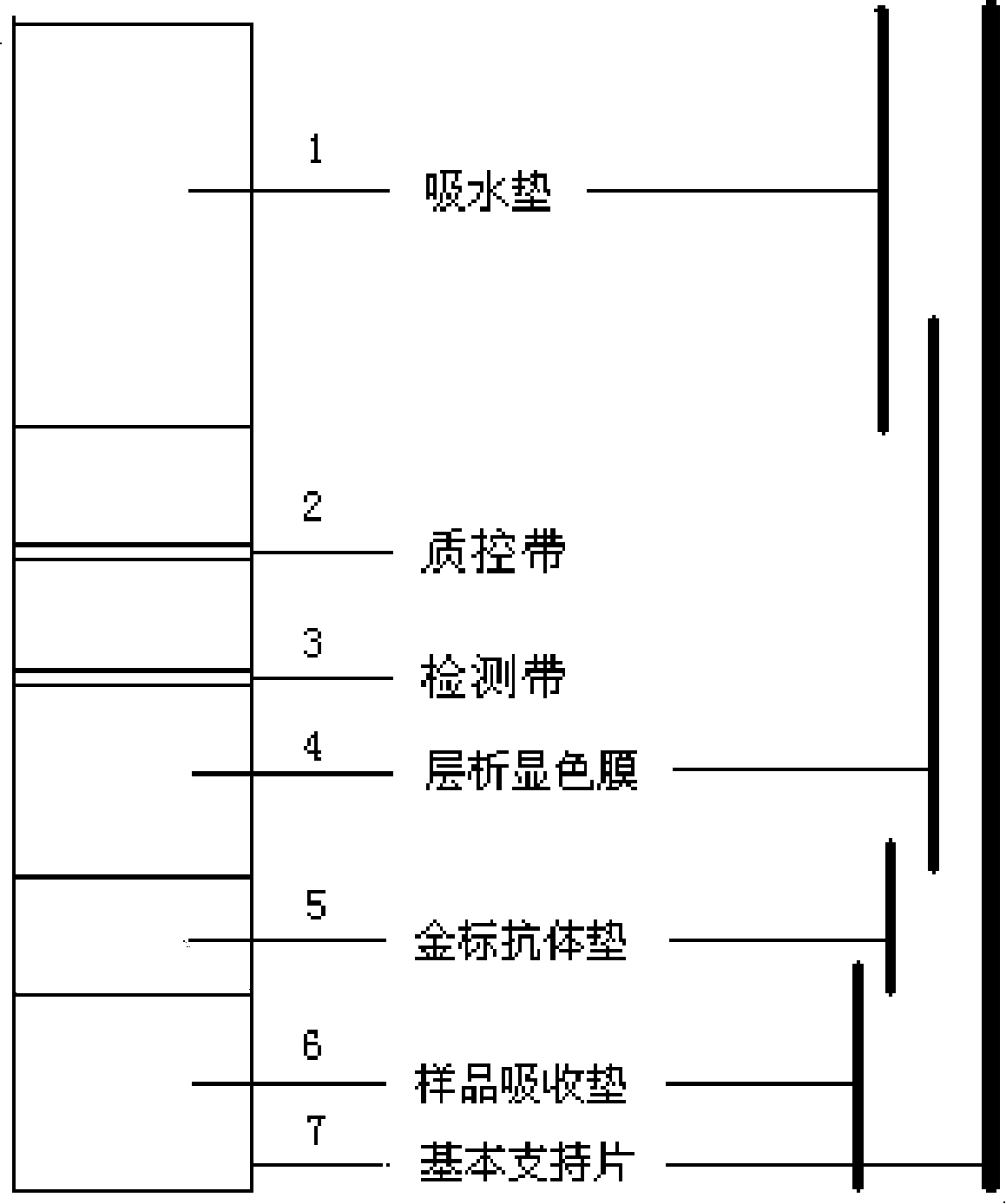 Colloidal gold test paper for detecting trace quantity oxygenize low density lipoprotein by indirect competition method