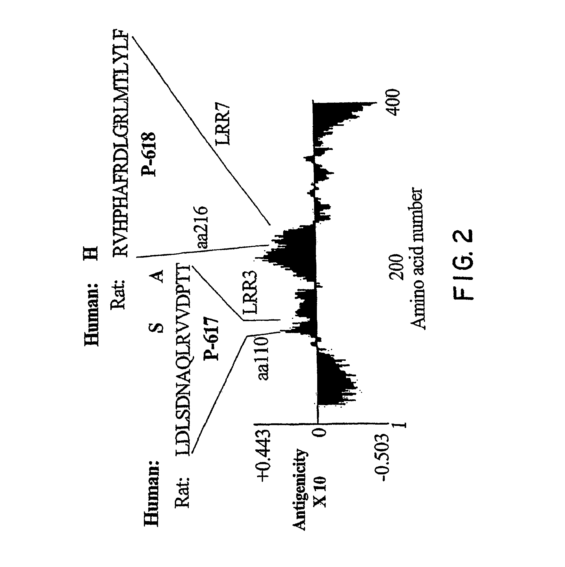 Nogo receptor antagonists