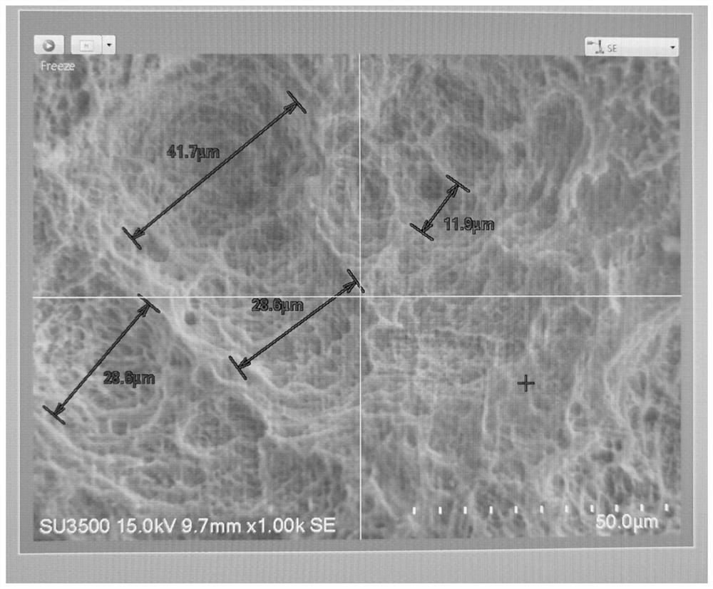 Manufacturing method of surface modified artificial skull prosthesis