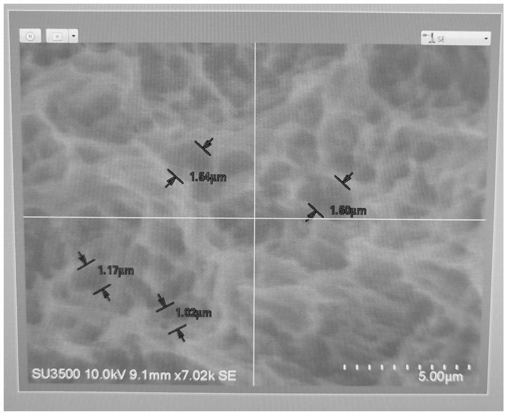 Manufacturing method of surface modified artificial skull prosthesis