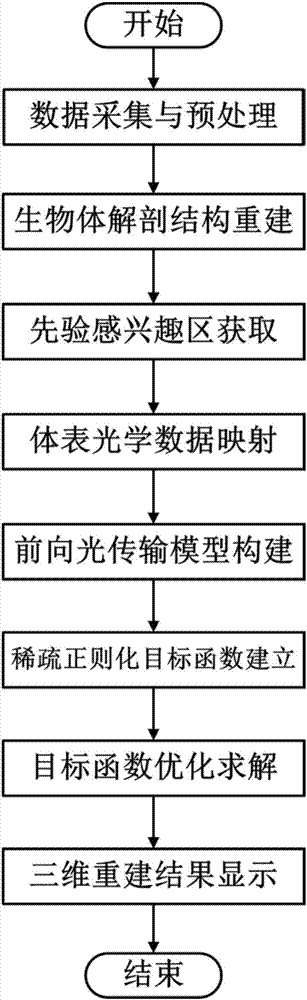 Bioluminescence tomography quantitative reconstruction method based on prior interested area of magnetic resonance image