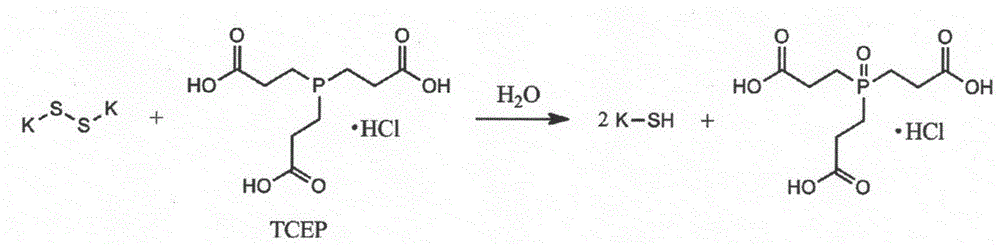 Processing method for endowing surface of protein fabric with anti-microbial and anti-static performance