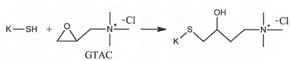 Processing method for endowing surface of protein fabric with anti-microbial and anti-static performance