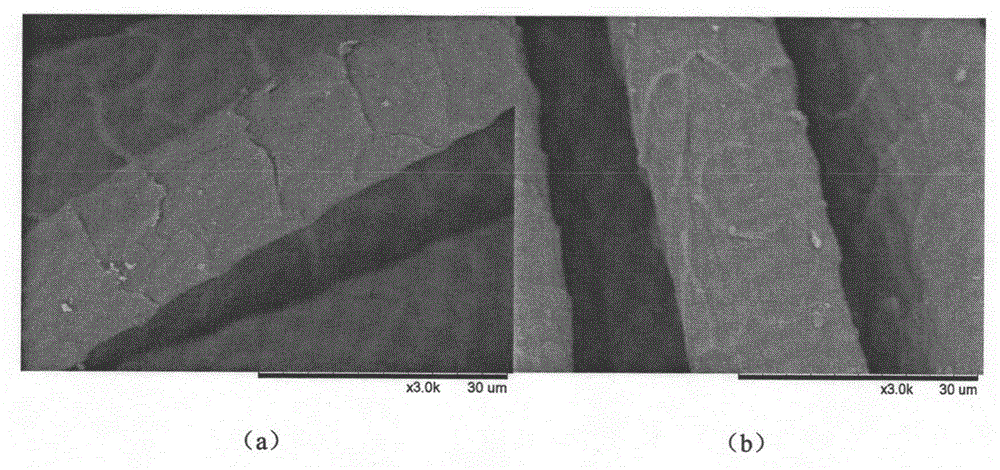 Processing method for endowing surface of protein fabric with anti-microbial and anti-static performance