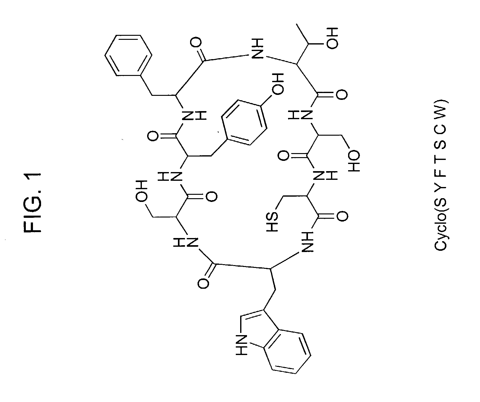 Cyclic peptides and analogs useful to treat allergies