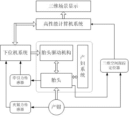 Trainer for simulating operation of obstetric forceps, and method for operating trainer